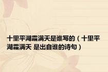 十里平湖霜满天是谁写的（十里平湖霜满天 是出自谁的诗句）