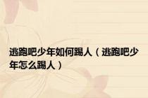 逃跑吧少年如何踢人（逃跑吧少年怎么踢人）