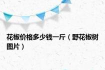 花椒价格多少钱一斤（野花椒树图片）