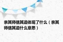 亲其师信其道体现了什么（亲其师信其道什么意思）