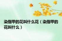 染指甲的花叫什么花（染指甲的花叫什么）