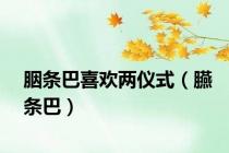 胭条巴喜欢两仪式（臙条巴）