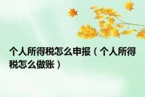 个人所得税怎么申报（个人所得税怎么做账）