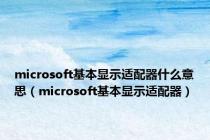 microsoft基本显示适配器什么意思（microsoft基本显示适配器）