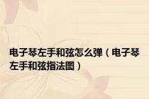 电子琴左手和弦怎么弹（电子琴左手和弦指法图）