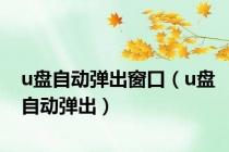 u盘自动弹出窗口（u盘自动弹出）