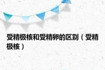 受精极核和受精卵的区别（受精极核）
