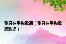 我只在乎你歌词（我只在乎你歌词歌词）