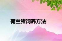 荷兰猪饲养方法