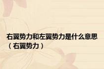 右翼势力和左翼势力是什么意思（右翼势力）