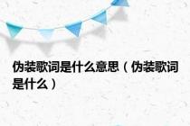 伪装歌词是什么意思（伪装歌词是什么）