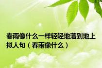 春雨像什么一样轻轻地落到地上拟人句（春雨像什么）