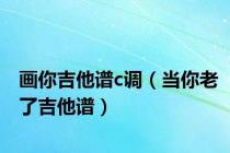 画你吉他谱c调（当你老了吉他谱）