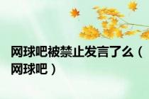 网球吧被禁止发言了么（网球吧）