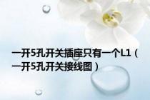 一开5孔开关插座只有一个L1（一开5孔开关接线图）