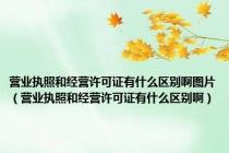 营业执照和经营许可证有什么区别啊图片（营业执照和经营许可证有什么区别啊）