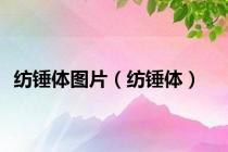 纺锤体图片（纺锤体）