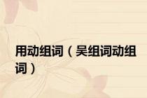 用动组词（吴组词动组词）