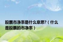 股票市净率是什么意思?（什么是股票的市净率）