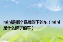 mini是哪个品牌旗下的车（mini是什么牌子的车）