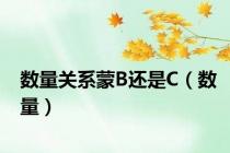 数量关系蒙B还是C（数量）