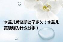 李菲儿黄晓明谈了多久（李菲儿黄晓明为什么分手）