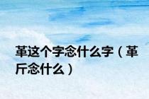 革这个字念什么字（革斤念什么）