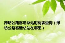 潍坊公路客运总站时刻表查询（潍坊公路客运总站在哪里）