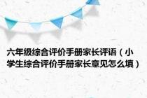 六年级综合评价手册家长评语（小学生综合评价手册家长意见怎么填）