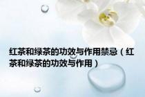 红茶和绿茶的功效与作用禁忌（红茶和绿茶的功效与作用）
