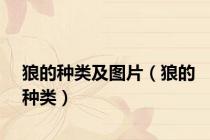 狼的种类及图片（狼的种类）