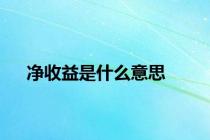 净收益是什么意思