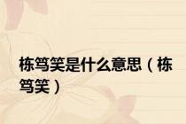 栋笃笑是什么意思（栋笃笑）