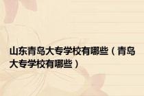 山东青岛大专学校有哪些（青岛大专学校有哪些）