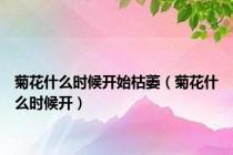 菊花什么时候开始枯萎（菊花什么时候开）