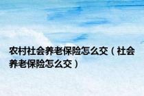 农村社会养老保险怎么交（社会养老保险怎么交）