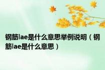 钢筋lae是什么意思举例说明（钢筋lae是什么意思）