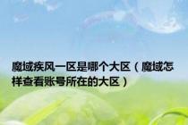 魔域疾风一区是哪个大区（魔域怎样查看账号所在的大区）