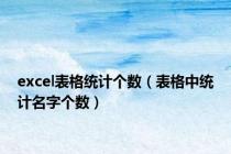 excel表格统计个数（表格中统计名字个数）