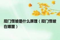 厦门怪坡是什么原理（厦门怪坡在哪里）