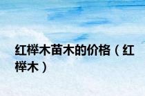 红榉木苗木的价格（红榉木）