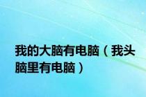 我的大脑有电脑（我头脑里有电脑）
