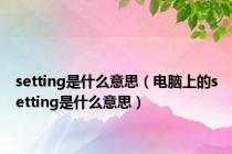 setting是什么意思（电脑上的setting是什么意思）
