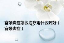 宫颈炎症怎么治疗用什么药好（宫颈炎症）