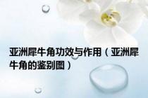 亚洲犀牛角功效与作用（亚洲犀牛角的鉴别图）