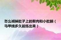 怎么减掉肚子上的赘肉和小肚腩（马甲线多久能练出来）