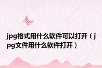 jpg格式用什么软件可以打开（jpg文件用什么软件打开）