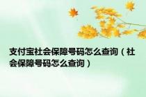 支付宝社会保障号码怎么查询（社会保障号码怎么查询）