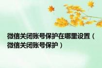 微信关闭账号保护在哪里设置（微信关闭账号保护）