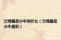 兰博基尼小牛叫什么（兰博基尼小牛报价）